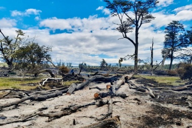 Cuarto incendio forestal en tres días: esta vez un fogón mal apagado en Almanza