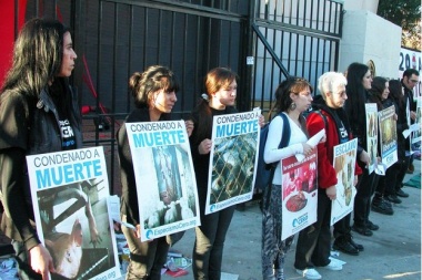 Veganos irrumpieron en la pista de La Rural y los gauchos los corrieron con caballos y a rebencazos