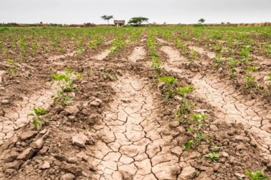 Sequía: la campaña agrícola podría ser la peor de los últimos años