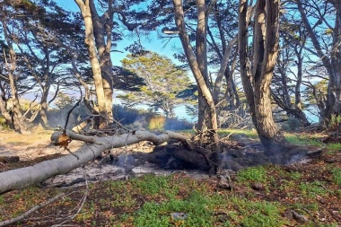 Se extinguió un nuevo foco de incendio en cercanías a la Reserva Natural Provincial Playa Larga
