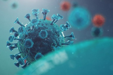 Coronavirus: detectaron variantes brasileñas en la Argentina