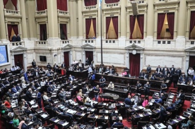 Diputados aprobó el proyecto de "Ley Lucio" para capacitar a funcionarios sobre maltrato infantil