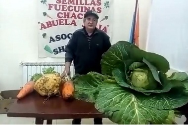 Cosecharon hortalizas gigantes en una chacra de Río Grande