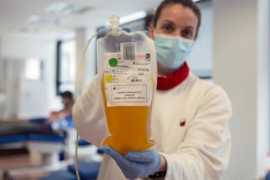 Una esperanza: afirman que cada donación de plasma puede salvar "hasta cuatro personas" infectadas de coronavirus