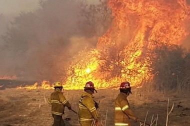 Incendios en Córdoba: en casi 20 años se destruyó una área equivalente a 12 ciudades