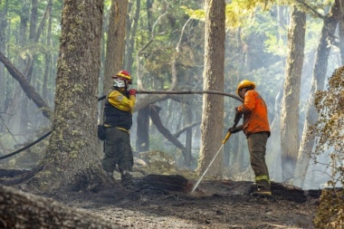 En Tierra del Fuego se registraron más de 20 incendios forestales en lo que va de temporada