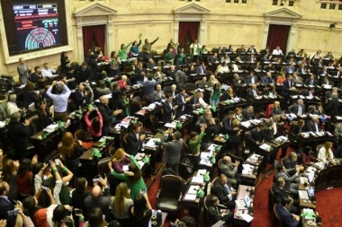 Así votarán los fueguinos en el Senado