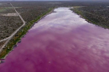 Una laguna se “tiñó” de rosa en Chubut, denuncian contaminación y hay dos municipios enfrentados