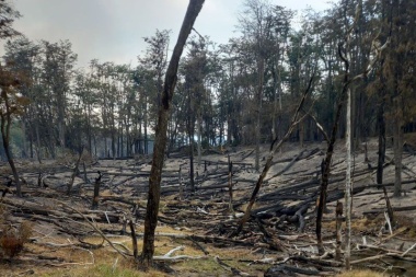 El incendio forestal será investigado por el juez Pellegrino, de Tolhuin