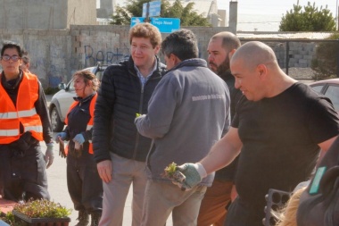 CAMPAÑA | Sacan plantines de Río Grande para llevarlos a Ushuaia