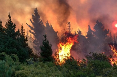 Incendios en Chubut: el fuego se acerca a la península Valdés y ya hay más de 77 mil hectáreas quemadas