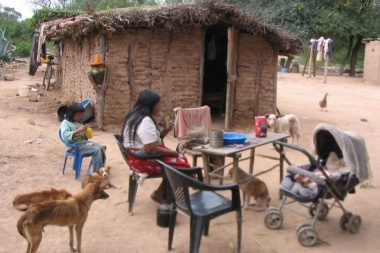Salta: ante la falta de alimentos, hay familias que comen iguanas