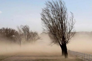 Alerta Amarilla por fuertes vientos para este fin de semana