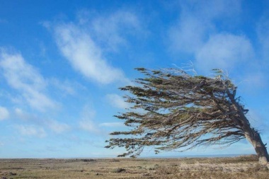 Fin de semana con alerta por vientos fuertes en las tres ciudades.