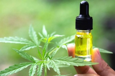 El Gobierno legalizó el autocultivo de cannabis y el expendio de aceites en farmacias