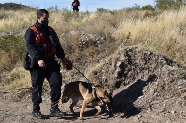 Caso Guadalupe: una perra marcó una casa y una mancha de sangre