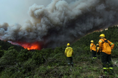 Persisten los incendios forestales en Corrientes, Río Negro, Misiones, Chubut y Formosa