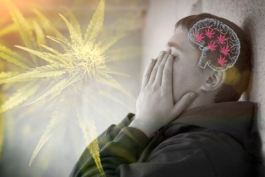 El cannabis puede alterar la química cerebral de forma permanente