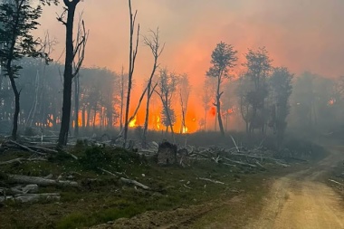 El fuego se reavivo y hay focos dispersos a causa del viento